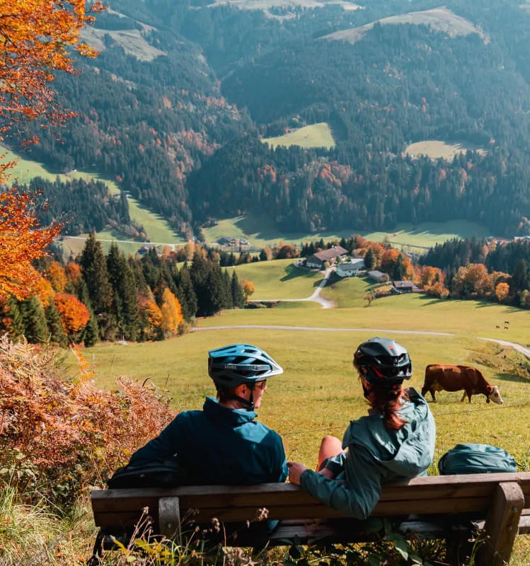 tvbhohesalveherbstbikenebikeradfahren2
