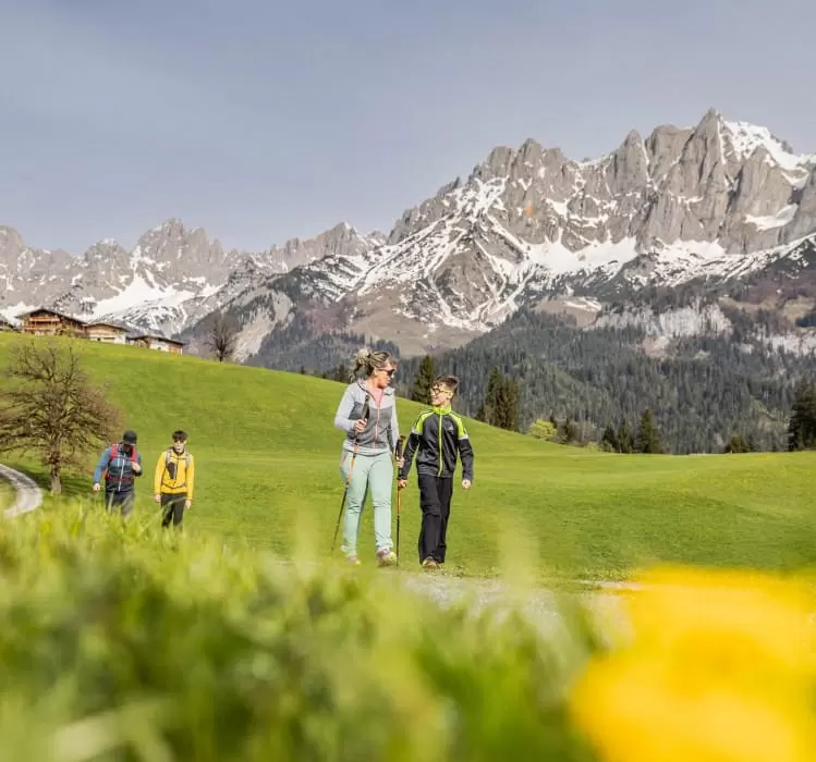 unser_berghof_erpfendorf_hotel_urlaub_kitzbueheler_alpen_frhlingsbilder_c_mirja_geh_3