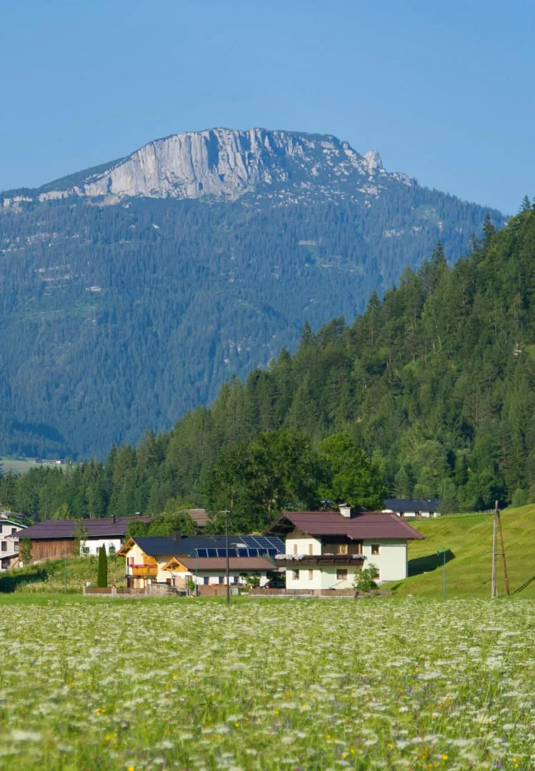 erpfendorf_sommer_c_franz_gerdl